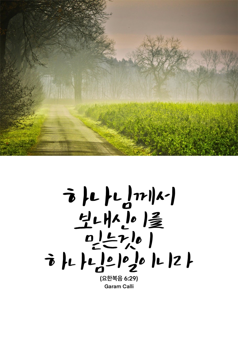 가람(이*일) 이미지
