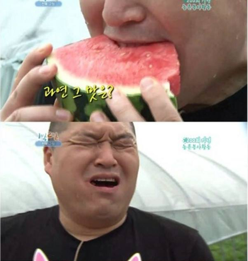 다루마 이미지