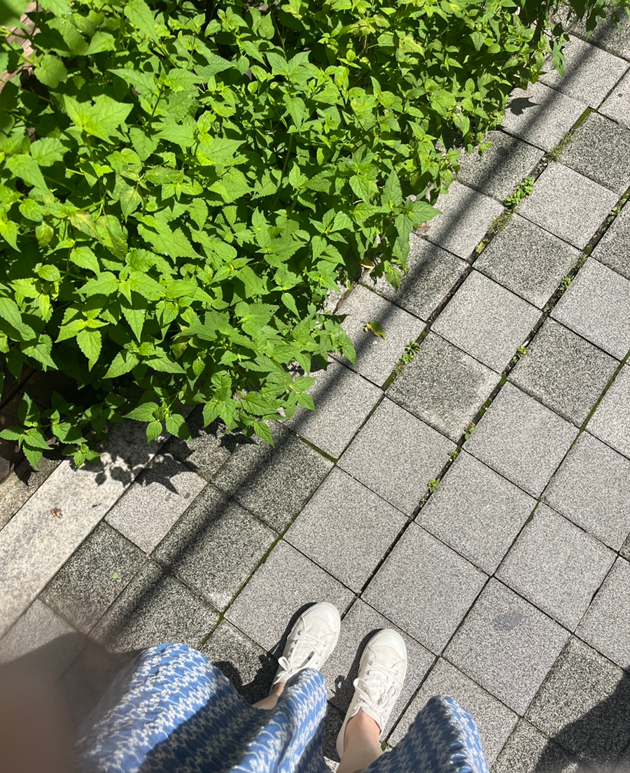 도화서길카페 이미지