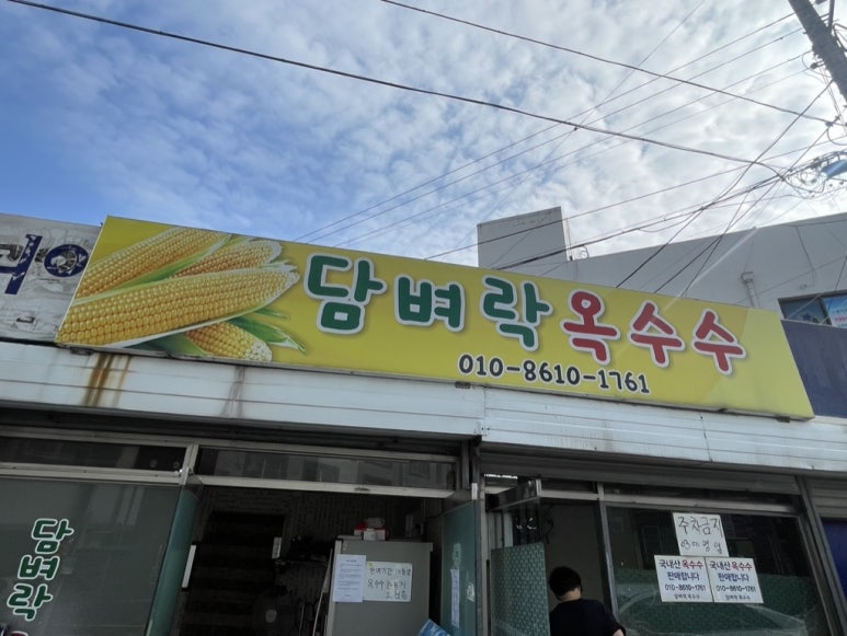 담벼락옥수수 이미지