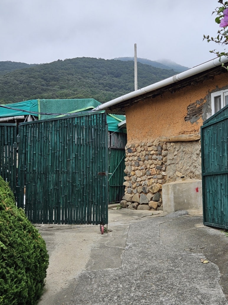 청록수 이미지