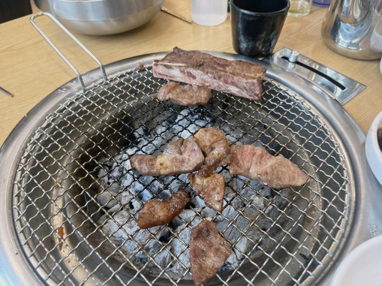 폭풍장어 이미지