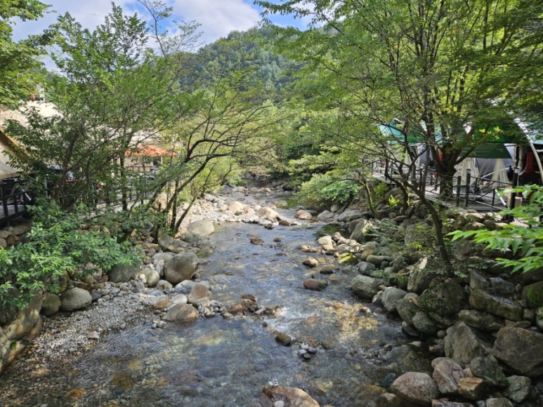 지리산둥지 야영장 이미지