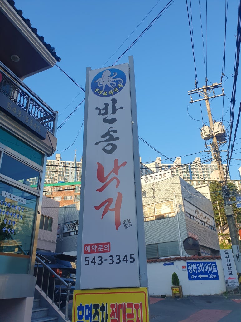 반송낙지 이미지