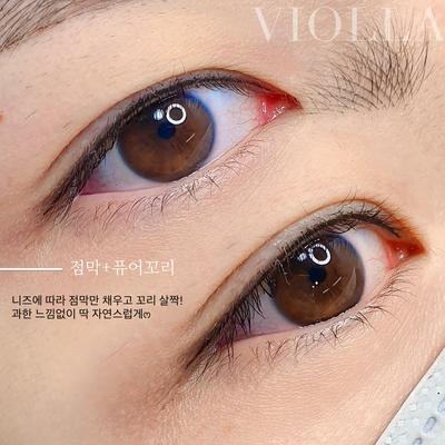비올라(violla) 이미지