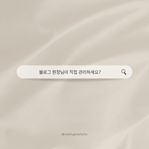 비올라(violla) 이미지
