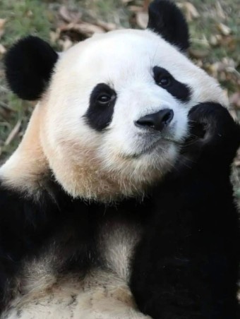 마라중독 이미지
