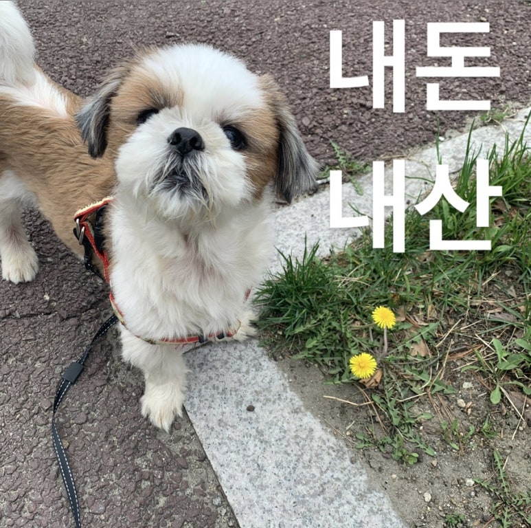 앤드일리Andily 이미지