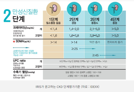 늘푸른관리 이미지