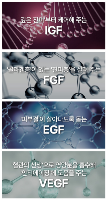 코코린느 이미지