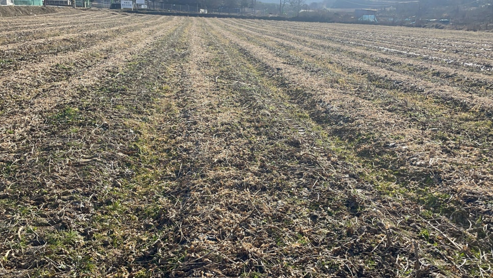 에코환경 이미지