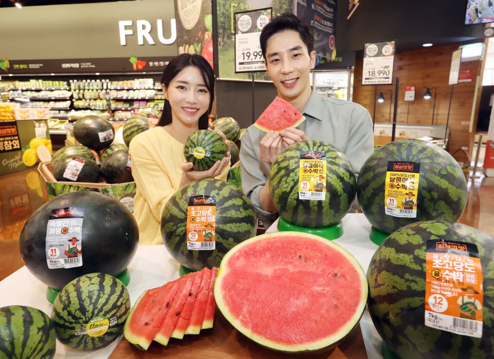 돌빌레 이미지