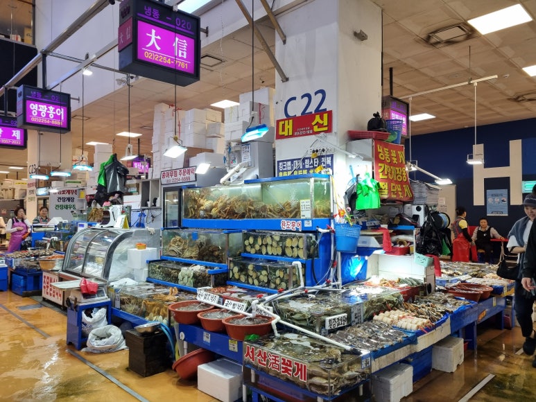 대신수산 이미지