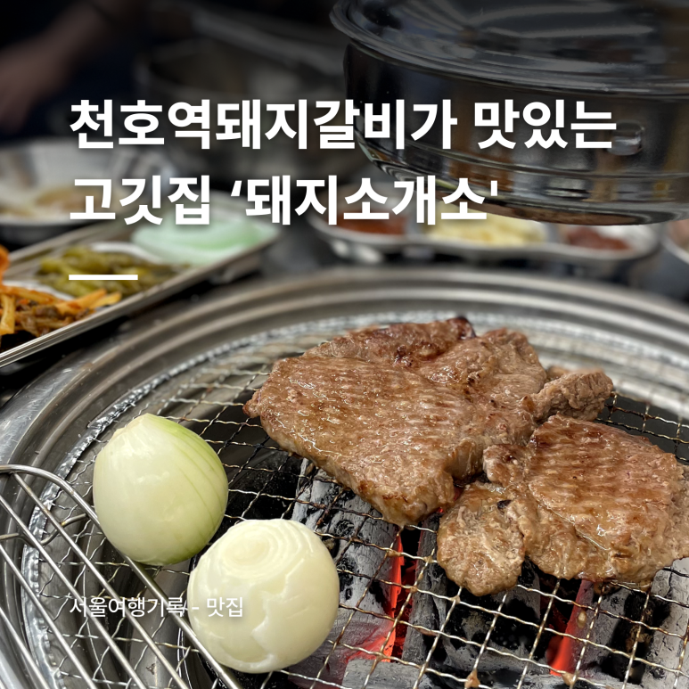 돼지소개소 이미지