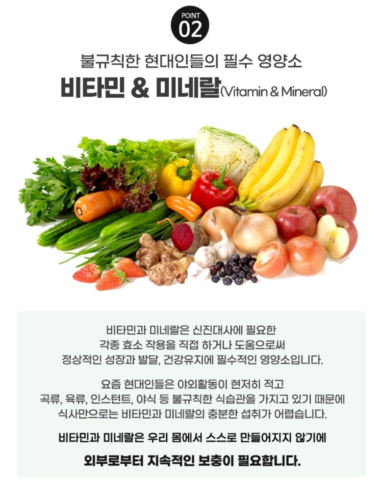 디엔알 이미지