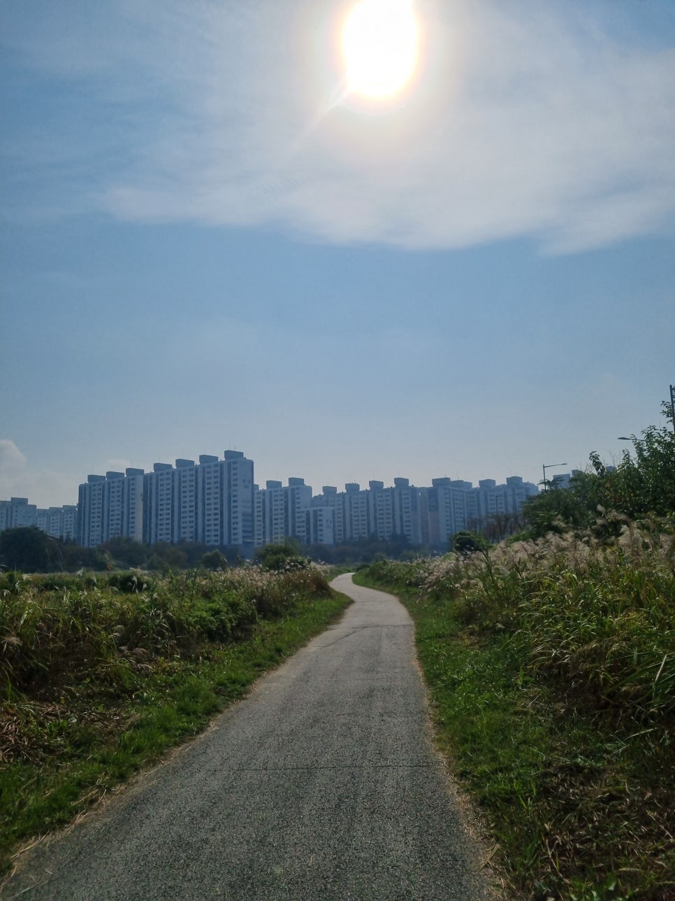 전주우전초등학교 이미지