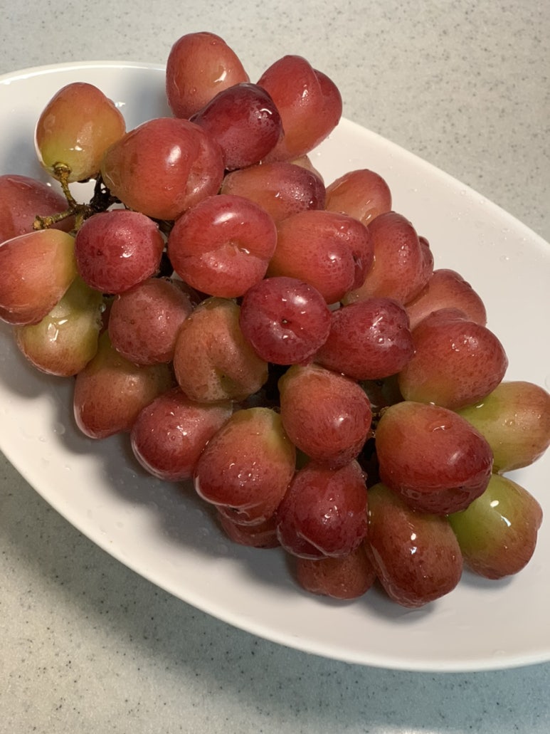 찬솔식품 이미지