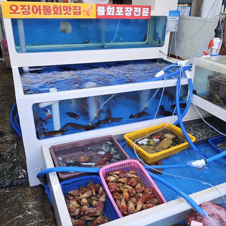오뚜기수산 이미지