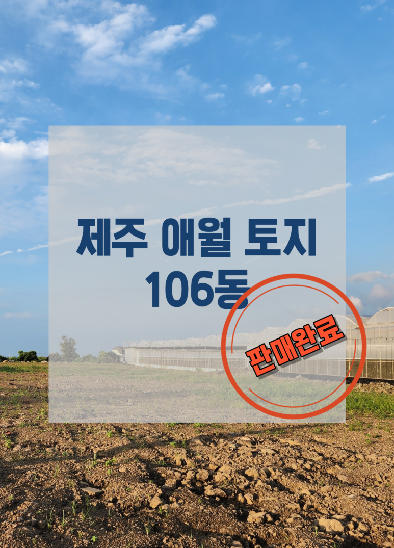 에이치앤엘 이미지