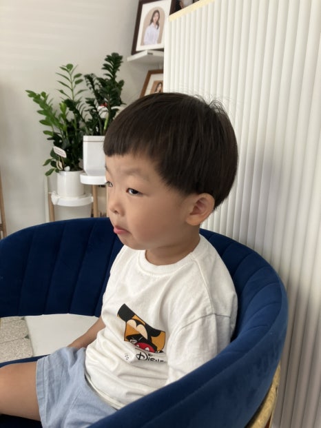 모모사진관 이미지