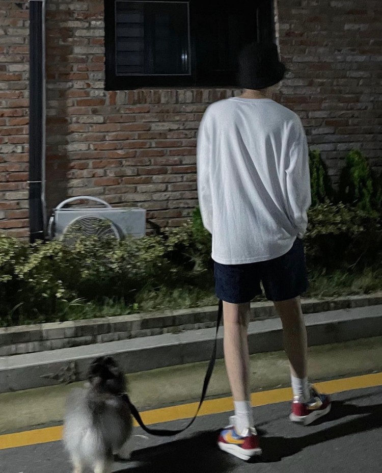 혜안 이미지