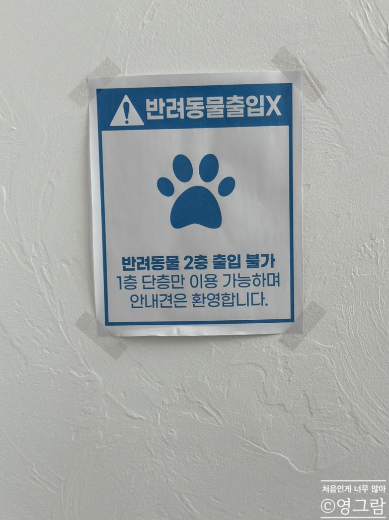 피엠뷰 이미지