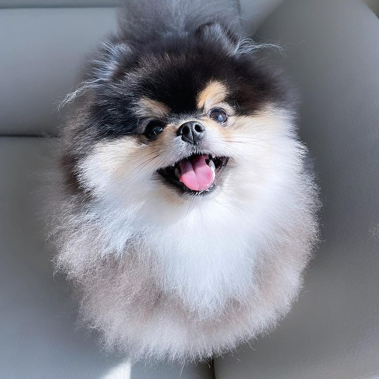 혜안 이미지