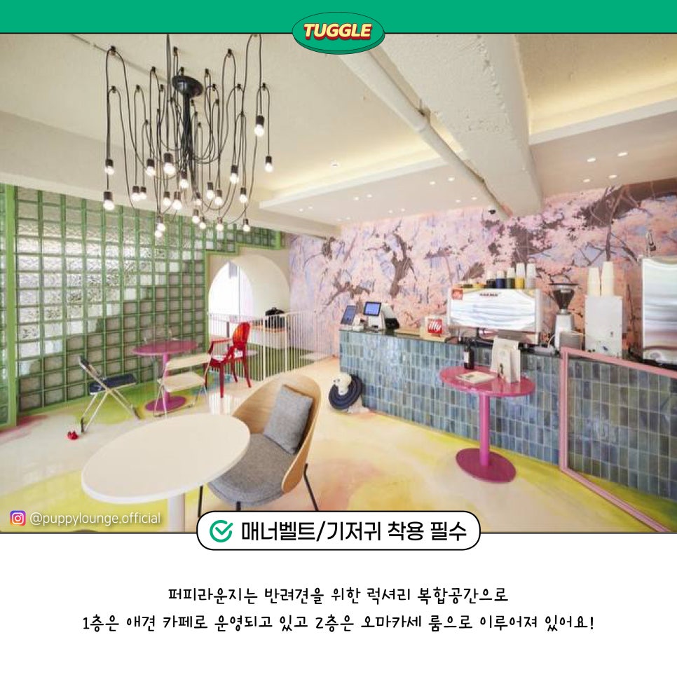 퍼피라운지 이미지