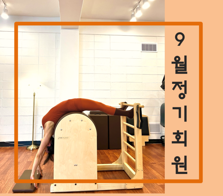 슈에뜨9 이미지