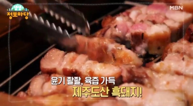 돼지마당 이미지