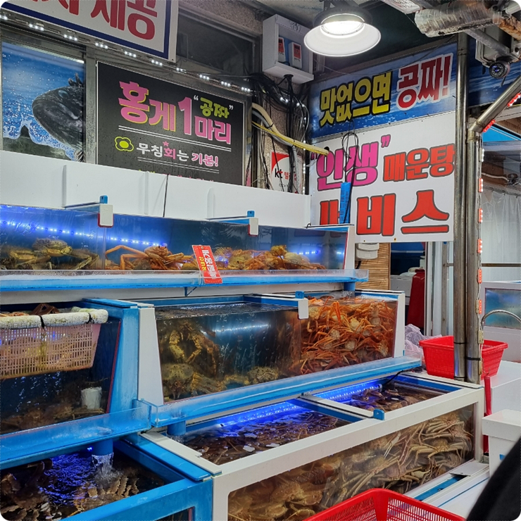 구룡포대게회 이미지