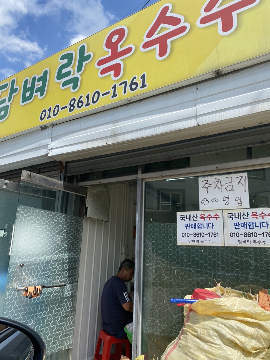 담벼락옥수수 이미지
