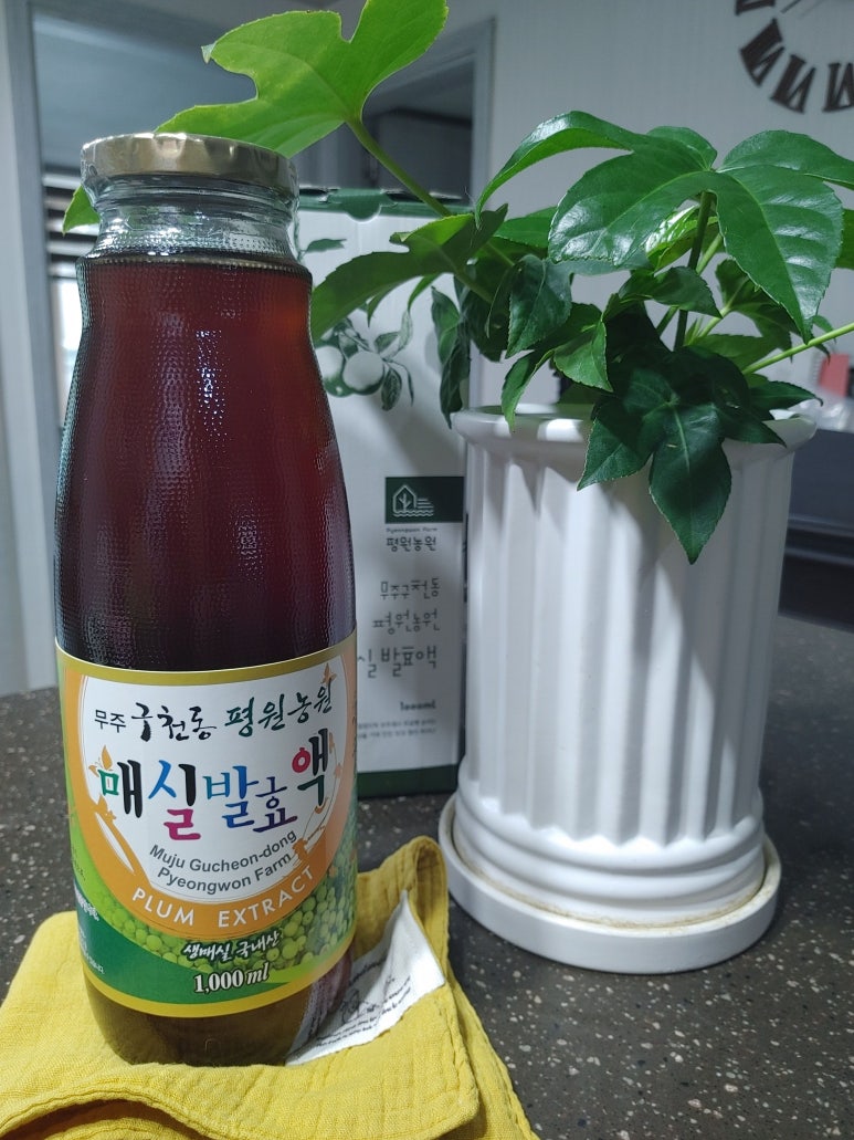 무주구천동매실농장 이미지
