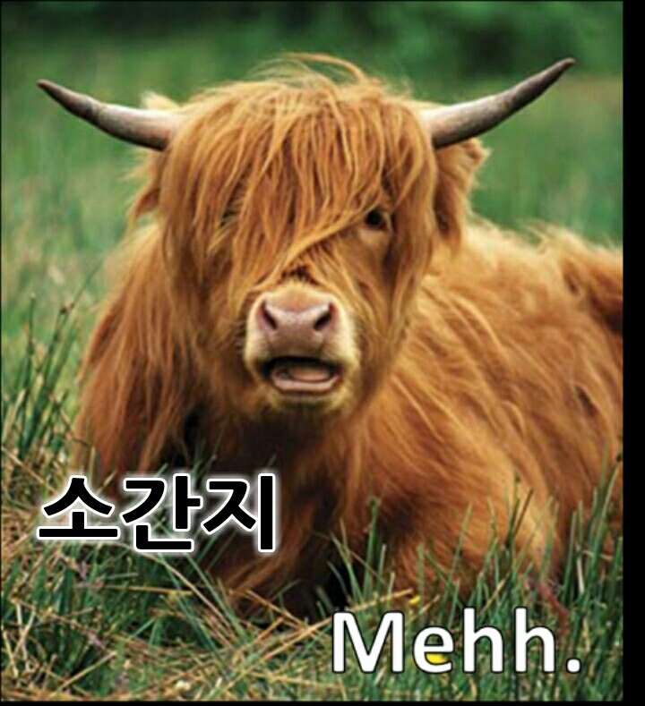 듬뿍하우스 이미지