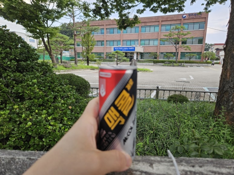 소백산얼음막걸리 이미지