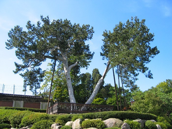 국민맥주 이미지