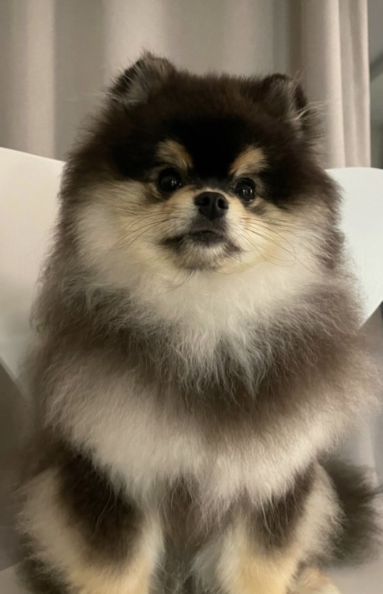 혜안 이미지