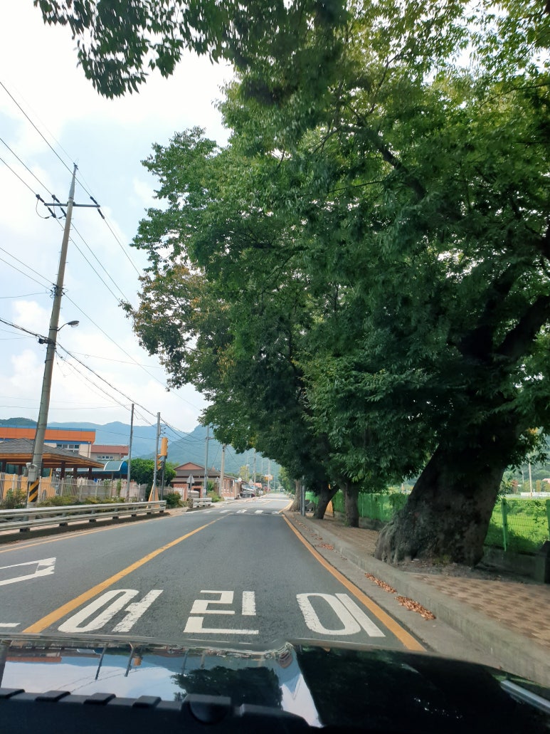 이마트24성주점 이미지