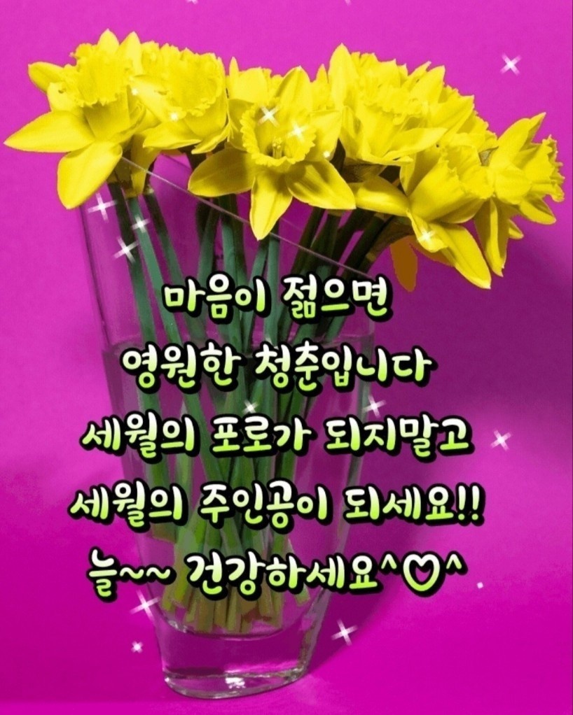 거안 이미지