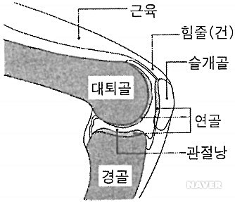 바름관리 이미지