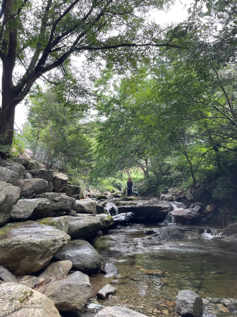 산중계곡캠핑장 이미지