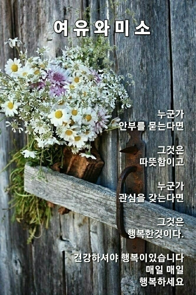 윤서네 칼국수 이미지