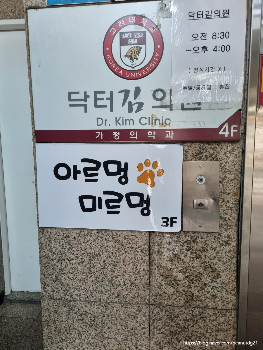 아르멍미르멍 이미지