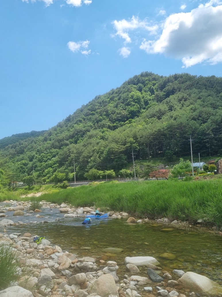 무릉수복 이미지