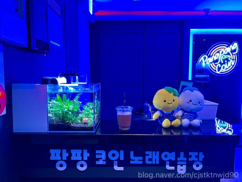 팡팡코인노래연습장 이미지