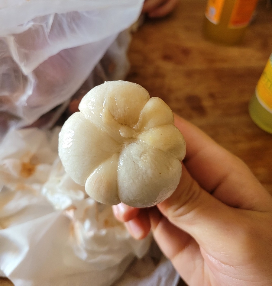 드뉴 이미지