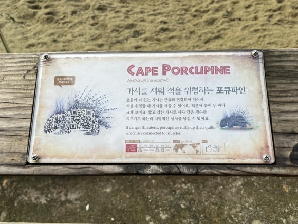 기프트밸리 이미지