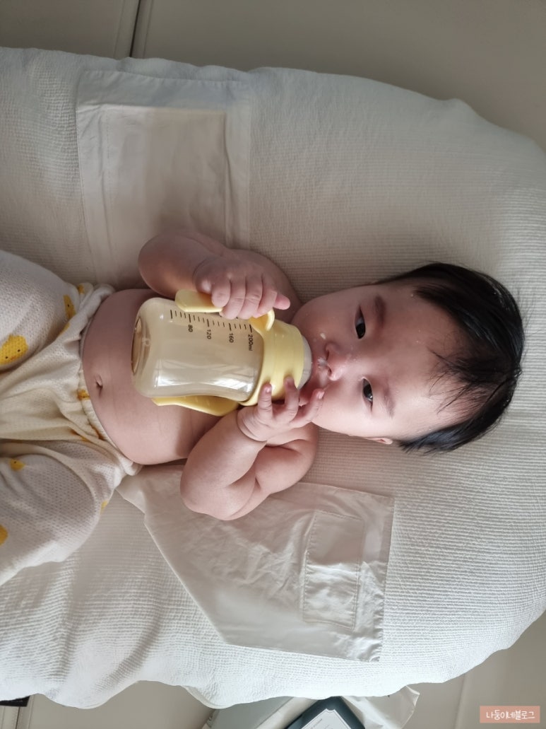 하누둥이 이미지