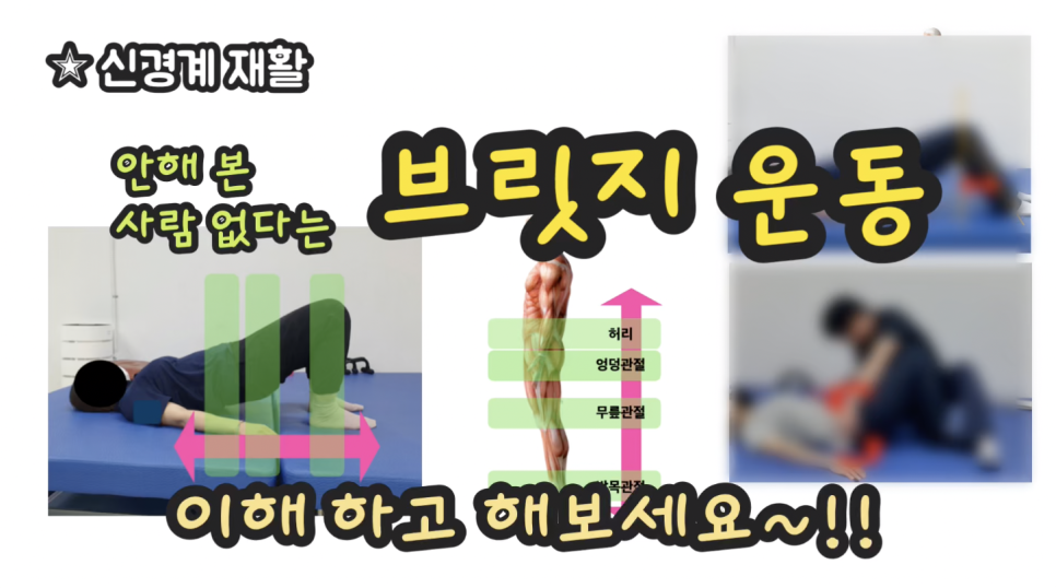 뉴힐링라이프재활운동센터안양 이미지