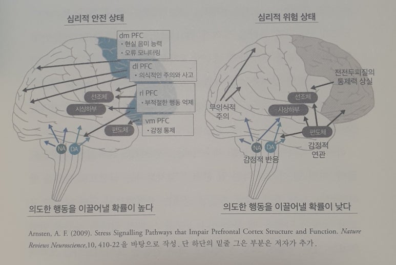 시너지모티베이션 이미지